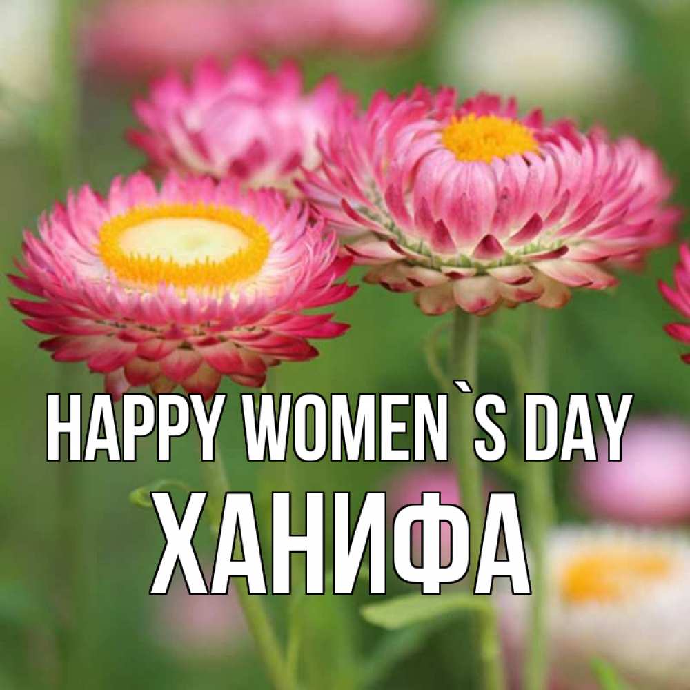 Greetings card с именем, ХАНИФА happy women`s day подарок на международный женский день Greetings with text for free download 